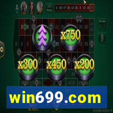 win699.com