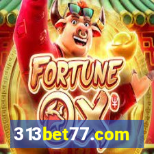 313bet77.com