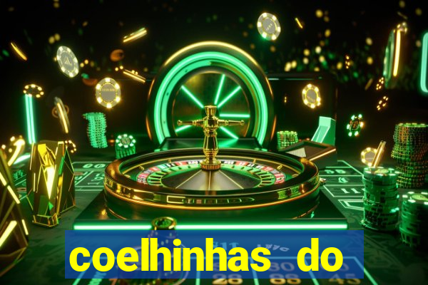 coelhinhas do brasil recife