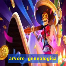 arvore genealogica dos gracie