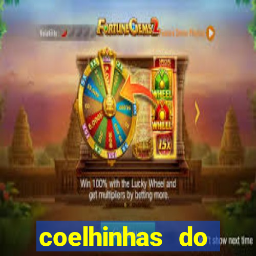 coelhinhas do brasil site