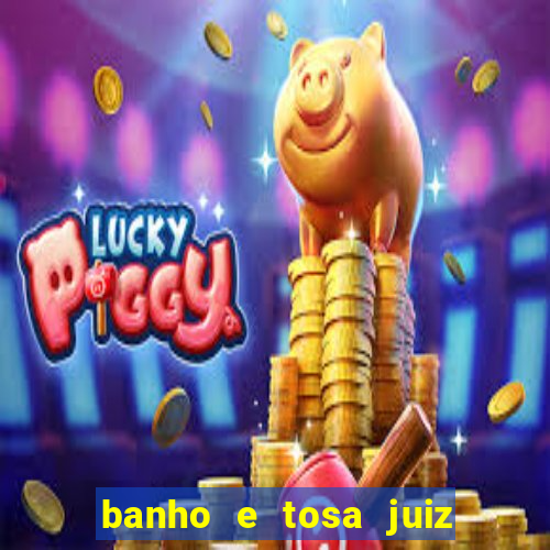 banho e tosa juiz de fora