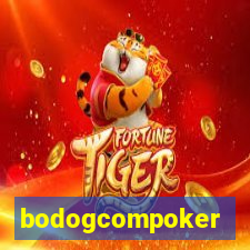 bodogcompoker