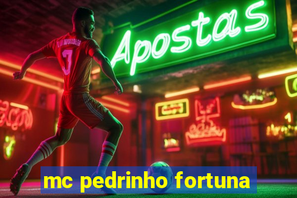 mc pedrinho fortuna