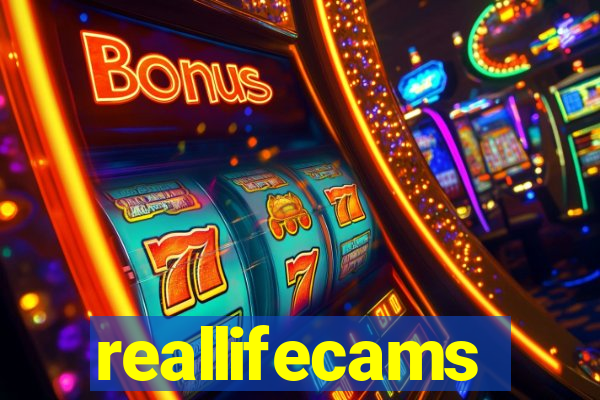 reallifecams