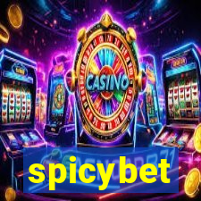 spicybet-3.com