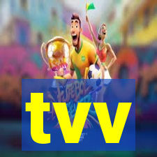 tvv-pg.com