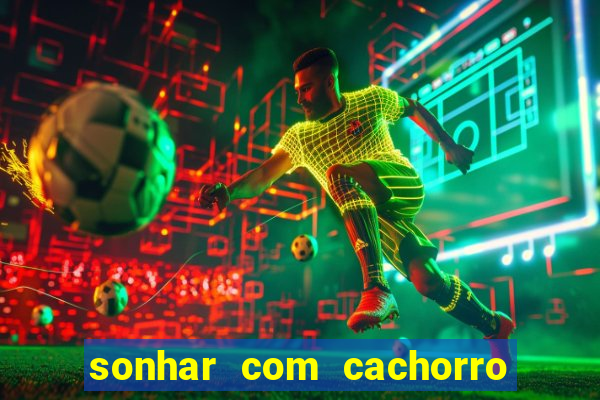 sonhar com cachorro cruzando jogo do bicho