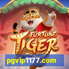 pgvip1177.com