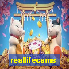 reallifecams