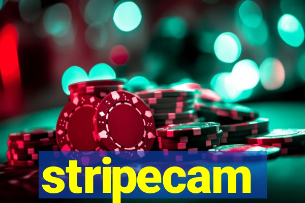 stripecam