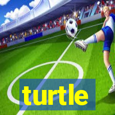 turtle-ty.com